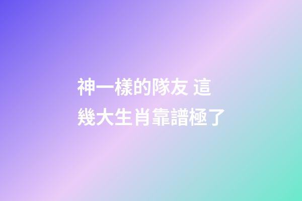 神一樣的隊友 這幾大生肖靠譜極了